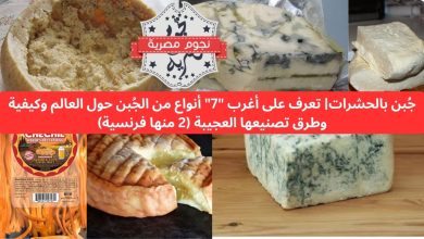 جُبن بالحشرات| تعرف على أغرب “7” أنواع من الجُبن حول العالم وكيفية وطرق تصنيعها العجيبة (2 منها فرنسية)