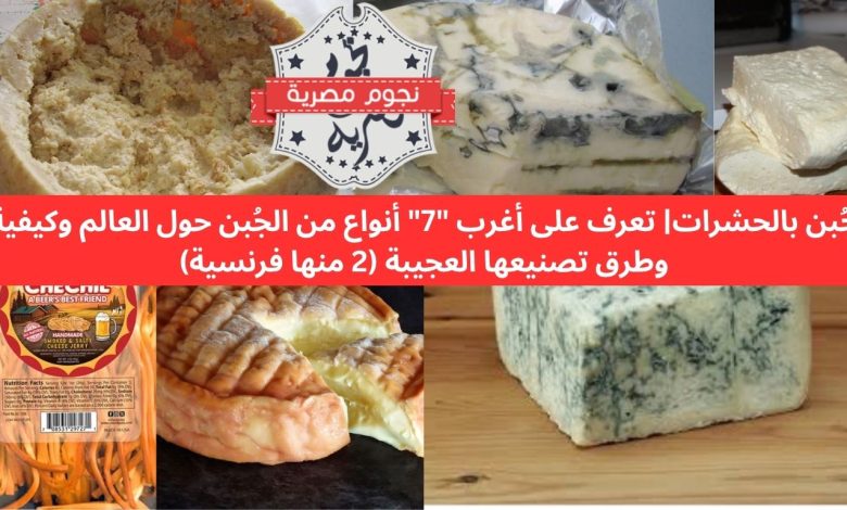 جُبن بالحشرات| تعرف على أغرب “7” أنواع من الجُبن حول العالم وكيفية وطرق تصنيعها العجيبة (2 منها فرنسية) جُبن بالحشرات| تعرف على أغرب “7” أنواع من الجُبن حول العالم وكيفية وطرق تصنيعها العجيبة (2 منها فرنسية)