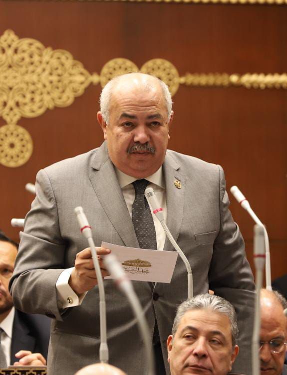 النائب عمرو أبو السعود: المتحف المصري الكبير بوابة الحضارة المصرية نحو المستقبل