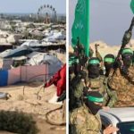 هكذا ساهم النظام العسكري الجزائري في ذبح أهل غزة . تفاصيل قرار نزع سلاح حماس وماذا بعده ؟