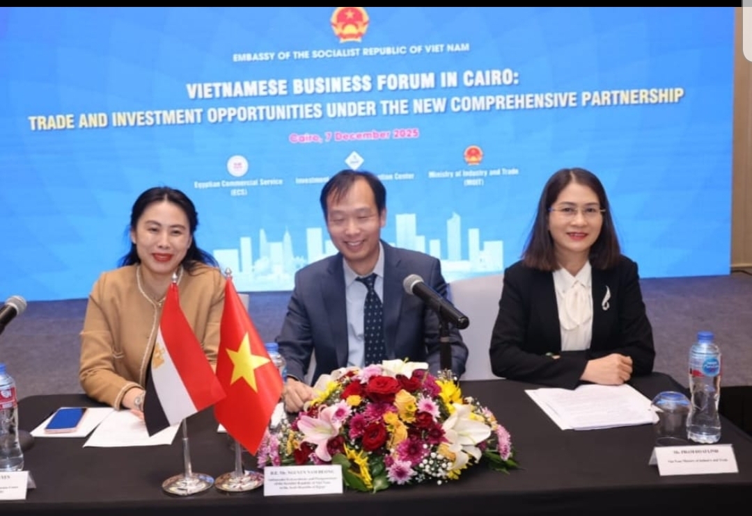 السفير نجوين نام نسعى لتعزيز العلاقات الاقتصادية والاستثمارية بين فيتنام ومصر
